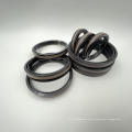 Selo especial para SPGW Piston Seal